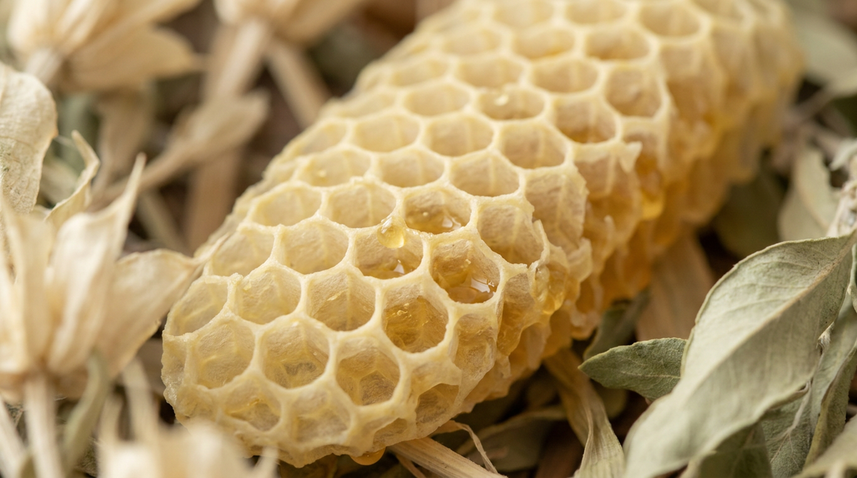 Chemische Zusammensetzung - woraus Bienenwachs besteht